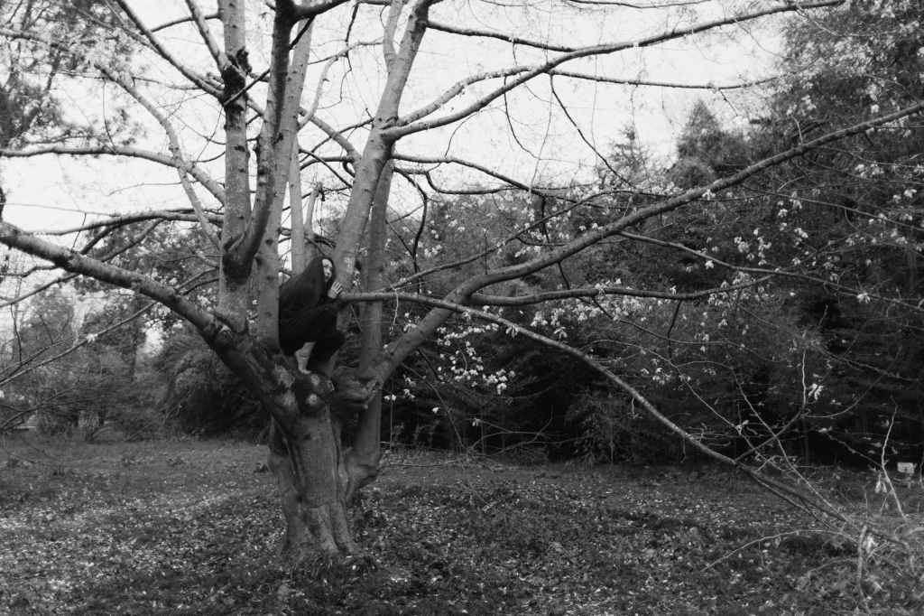 Negativity, Who I Am, and Who I Want to&nbsp;Become